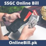 SSGC online bill